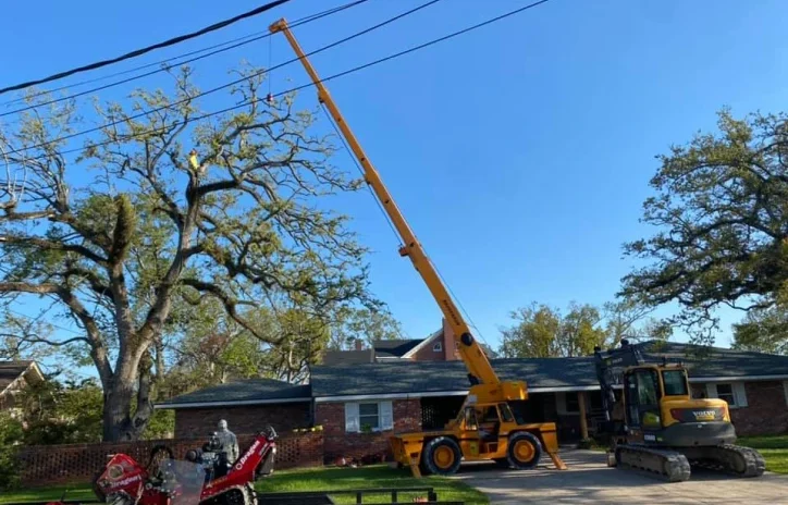 top tier tree and drone service llc sulphur la 2025 12 02T18 07 42.094939Z 83350.9621054428 1
