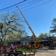 top tier tree and drone service llc sulphur la 2025 12 02T18 07 42.094939Z 83350.9621054428 1