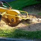 stump grinding photo