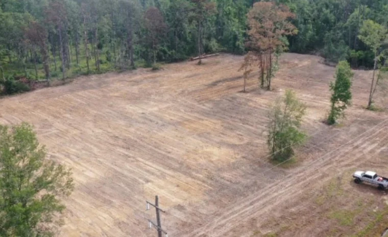 Step by Step Guide to Planning a Land Clearing and Excavation Project Blog